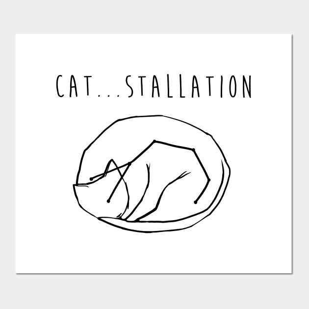 Cat...stallion